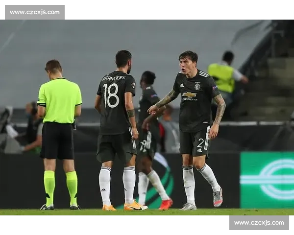 替补奇兵！约书亚・万爆冷终结罗伊瓦尔冠军挑战梦